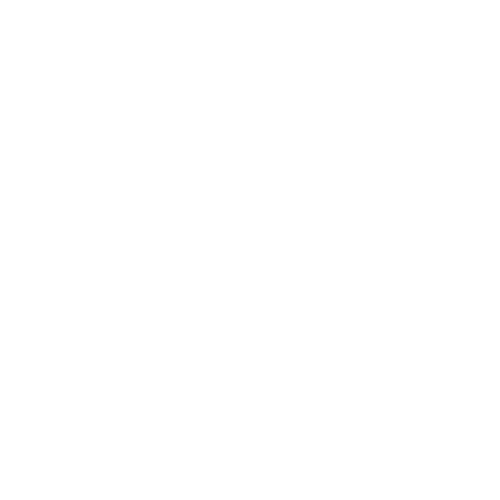 logo instagram